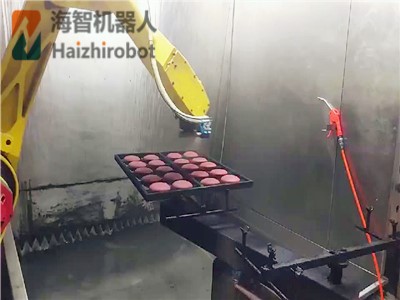 海智定製噴塗機器人係列