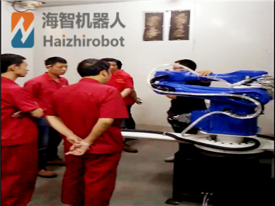 企業個人集體培訓工業機器人